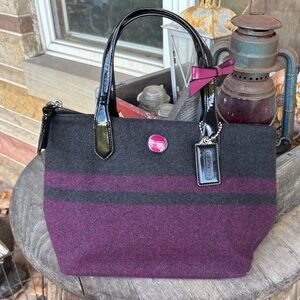 Coach Signature Stripe Blanket Stripe Wool Lunch Tote